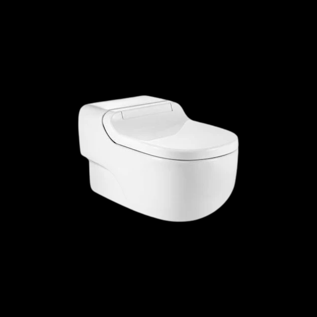 Roca_Sanitaryware_Roca In Wash Meridian Wh White RS811357300